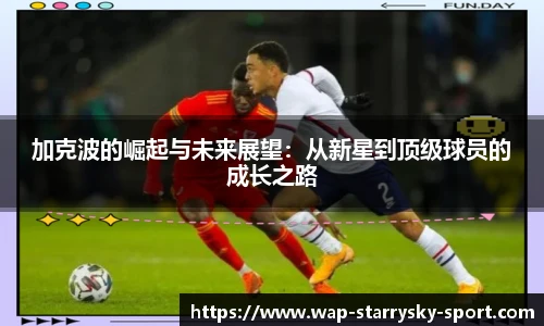 星空体育官网