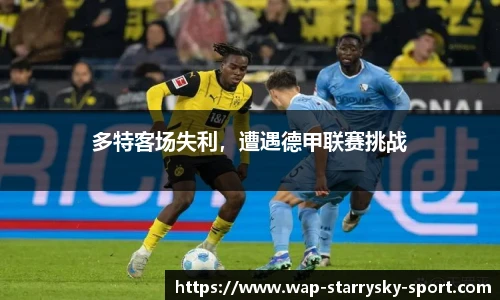 星空体育官网
