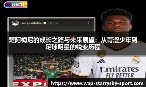 星空体育下载